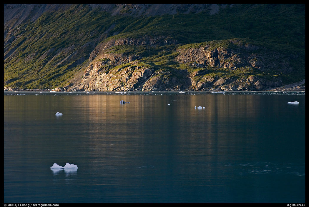 Icebergs and spot of sunlight on slopes around Tarr Inlet. Glacier Bay National Park, Alaska, USA.