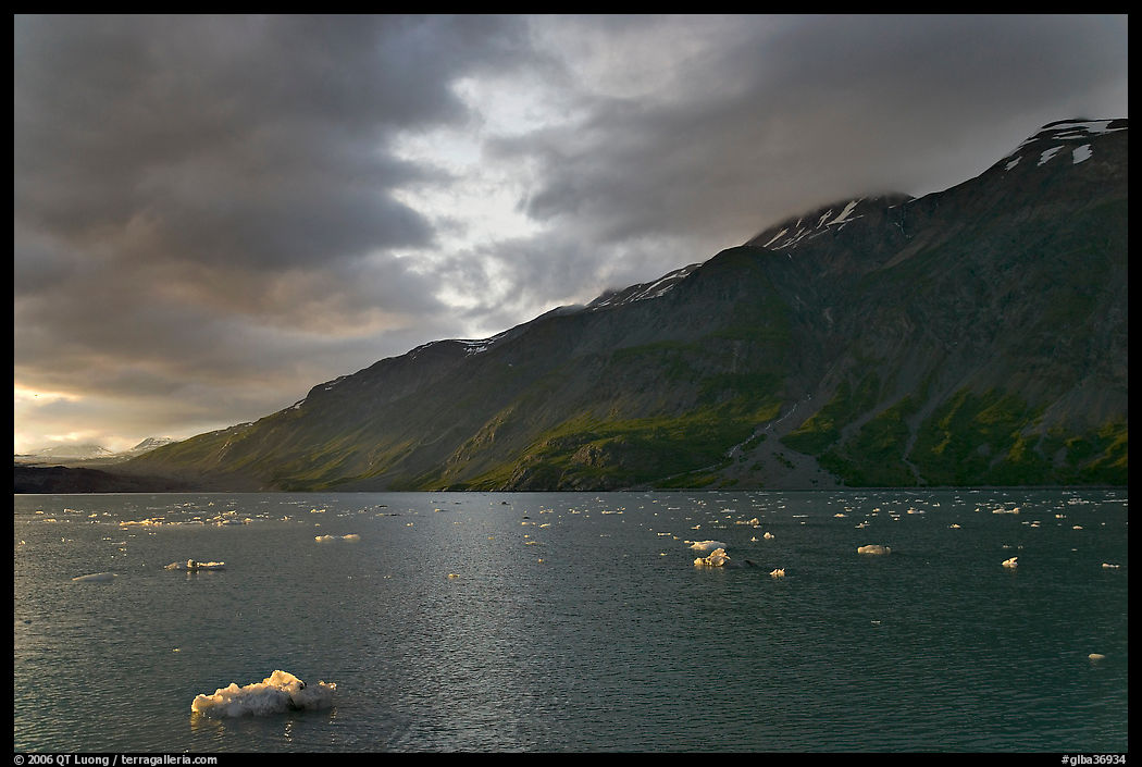 Icebergs in Tarr Inlet, sunset. Glacier Bay National Park, Alaska, USA.