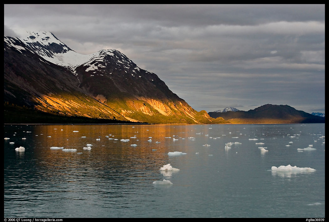 Tarr Inlet and icebergs with the last light of sunset. Glacier Bay National Park, Alaska, USA.