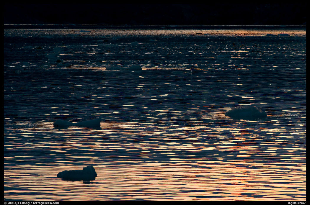 Ripples and icebergs at sunset, Tarr Inlet. Glacier Bay National Park, Alaska, USA.