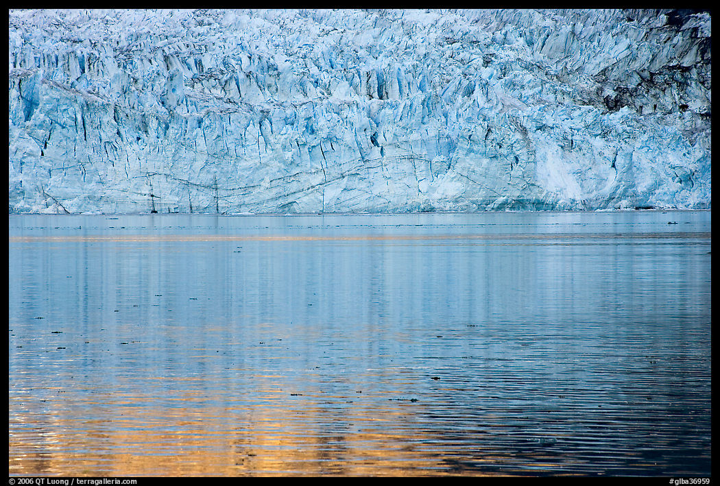 Golden reflections and blue ice of Margerie Glacier. Glacier Bay National Park, Alaska, USA.