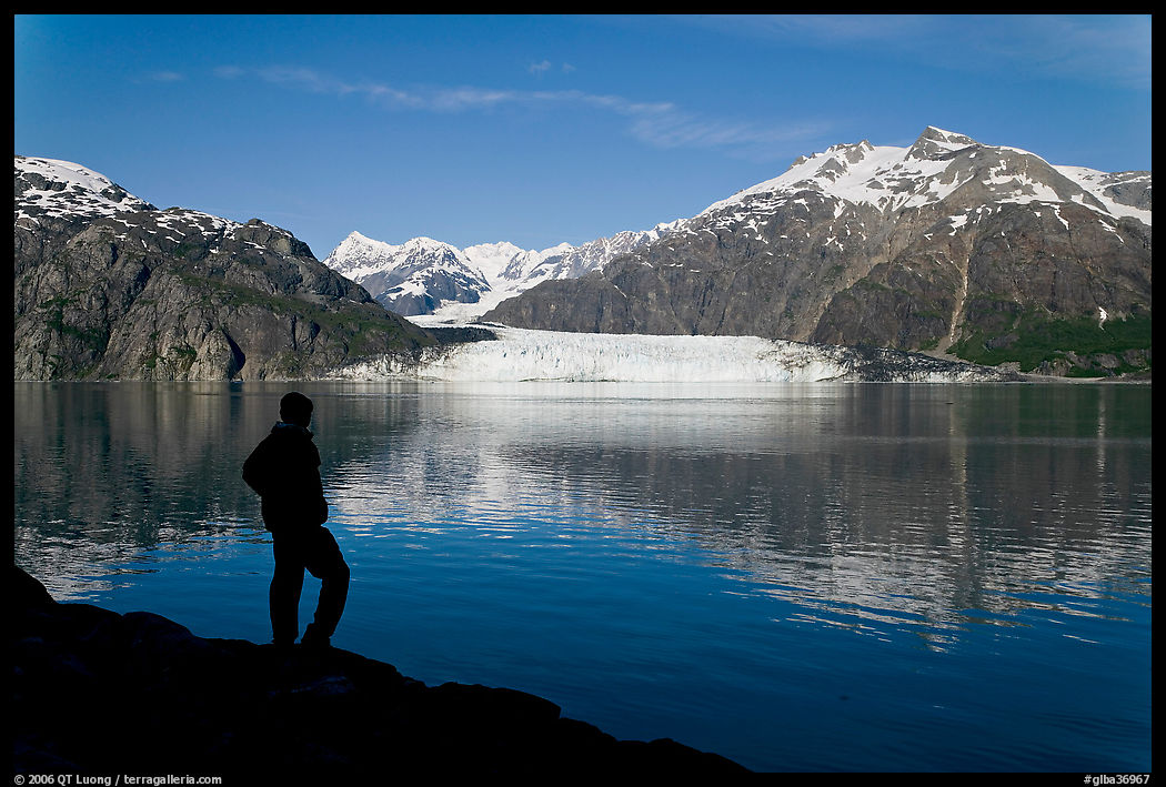 Man in silhouette looking at Tarr Inlet, Fairweather range and Margerie Glacier. Glacier Bay National Park, Alaska, USA.