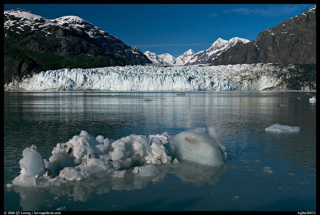 Iceberg, wide front of Margerie Glacier and Fairweather range. Glacier Bay National Park, Alaska, USA.