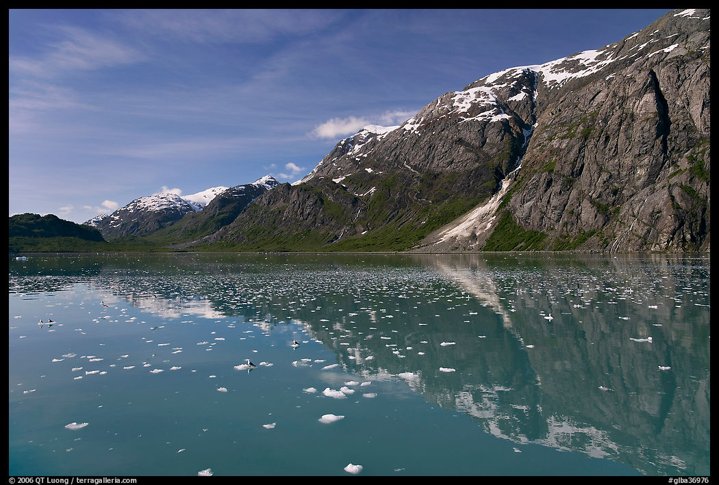 Icebergs and reflections in Tarr Inlet. Glacier Bay National Park, Alaska, USA.
