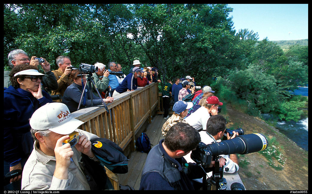 Photographers at the Brooks falls obervation platform. Katmai National Park, Alaska, USA.
