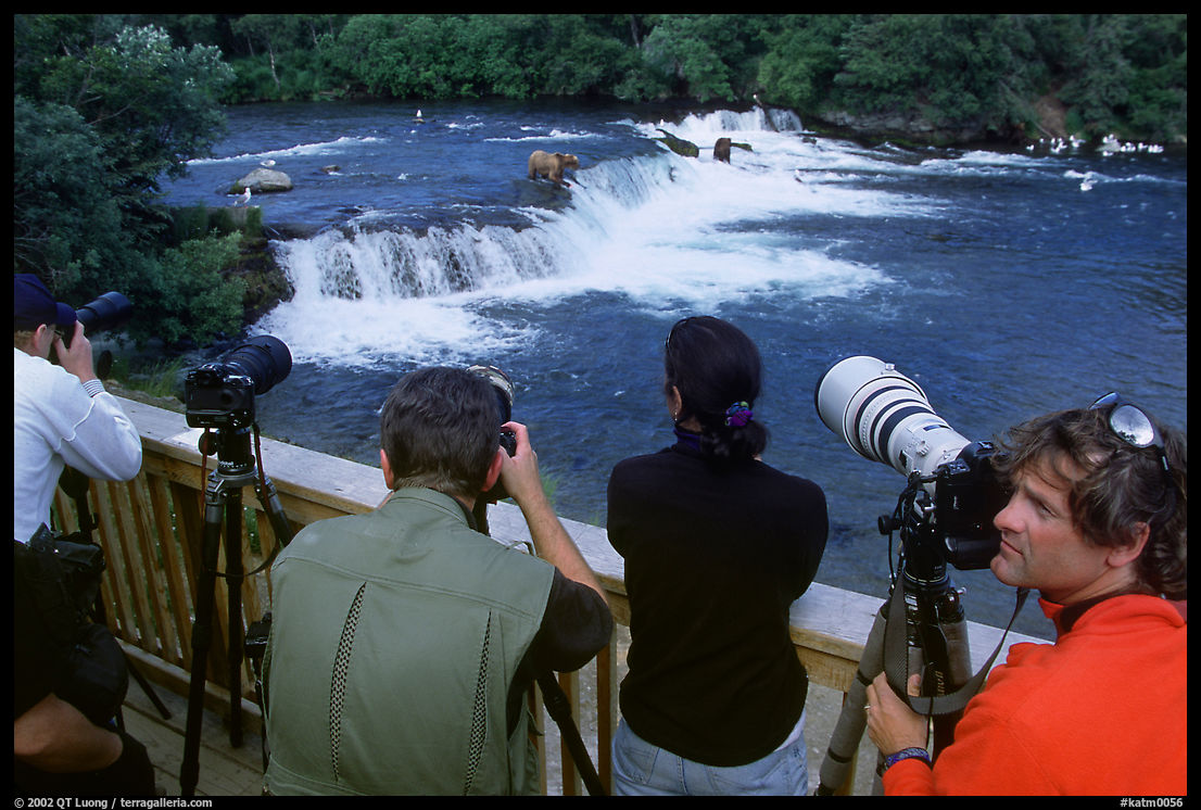 Photographers on observation platform and Brooks falls with bears. Katmai National Park, Alaska, USA.