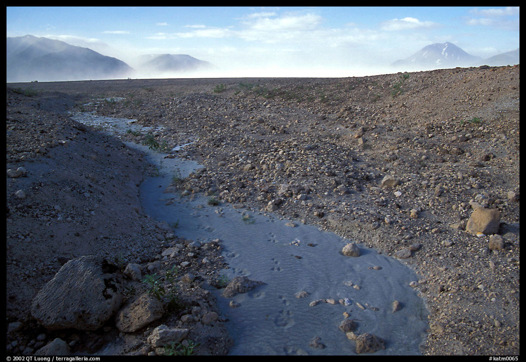 Animal tracks in ash, Valley of Ten Thousand smokes. Katmai National Park, Alaska, USA.