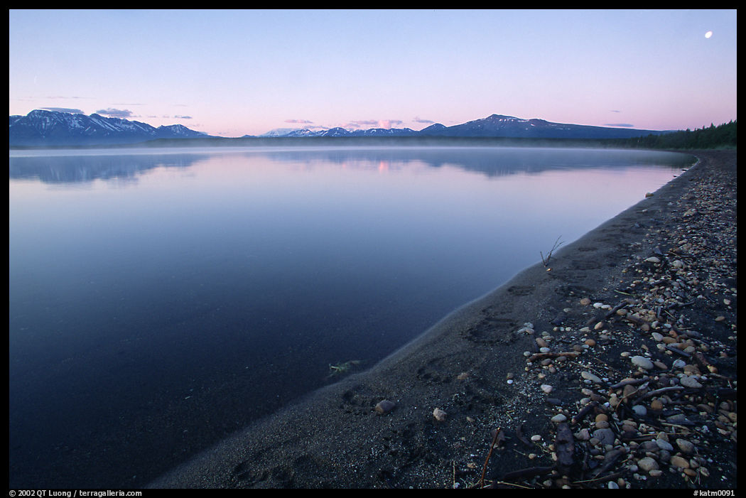 Bear tracks, Naknek lake. Katmai National Park, Alaska, USA.