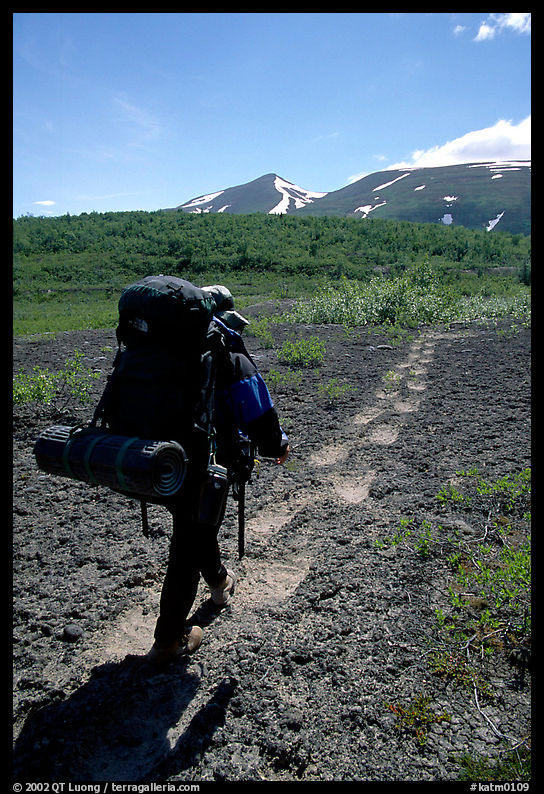 Backpacker follow bear tracks, Valley of Ten Thousand smokes. Katmai National Park, Alaska