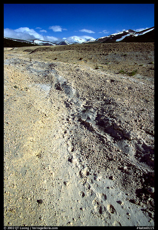 Valley with animal tracks in  ash, Valley of Ten Thousand smokes. Katmai National Park, Alaska, USA.
