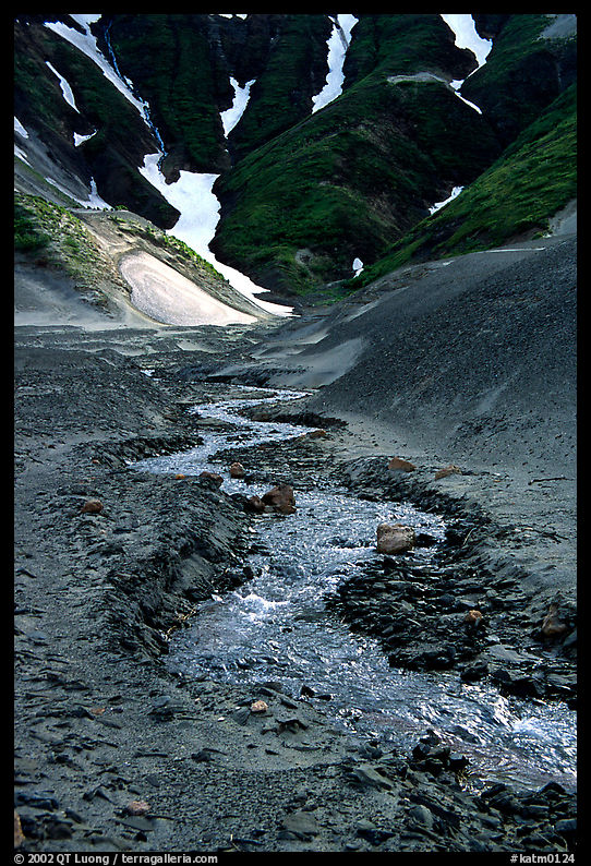 Stream flows from the verdant hills into the barren floor of the Valley of Ten Thousand smokes. Katmai National Park