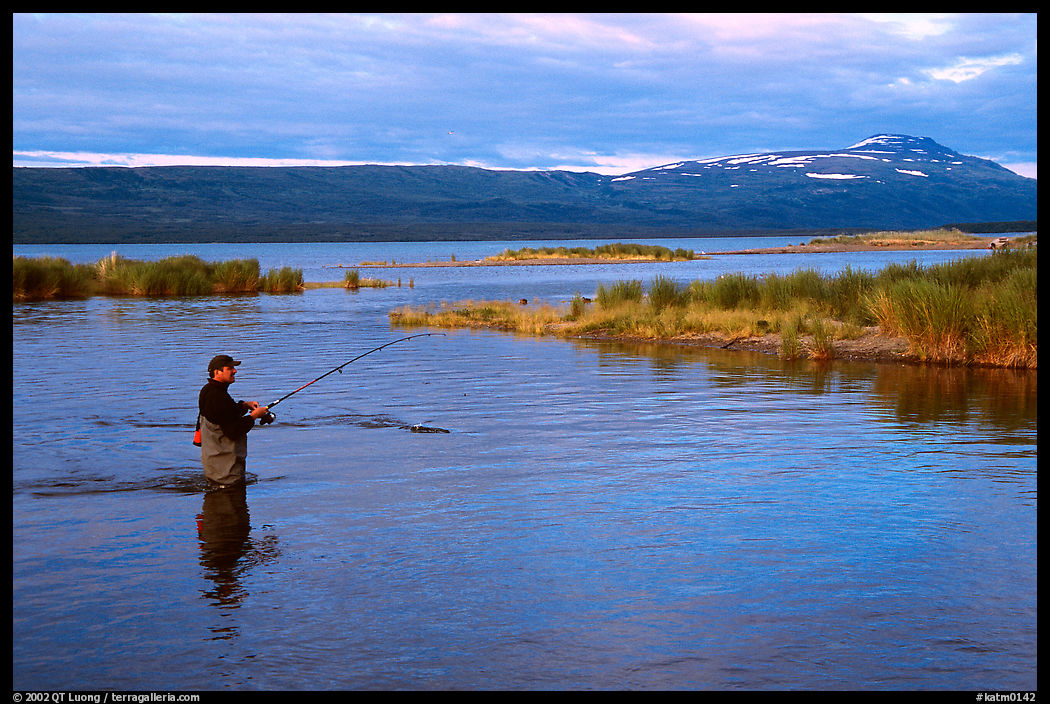 Man fishing for salmon in the Brooks river. Katmai National Park, Alaska, USA.