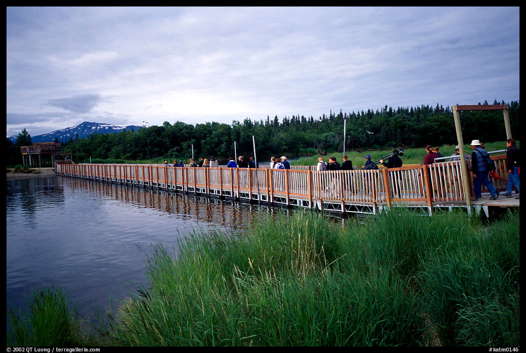 Crossing a bridge on the way to Brooks falls. Katmai National Park