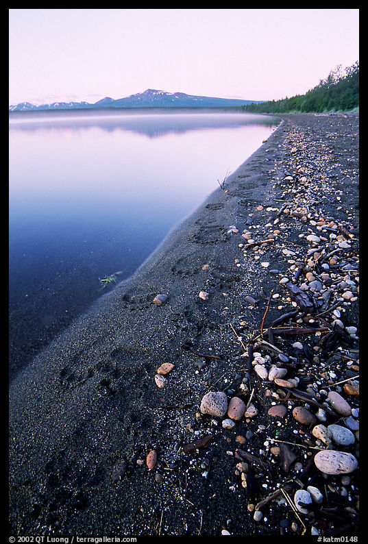 Bear tracks on the shore of Naknek lake. Katmai National Park, Alaska, USA.