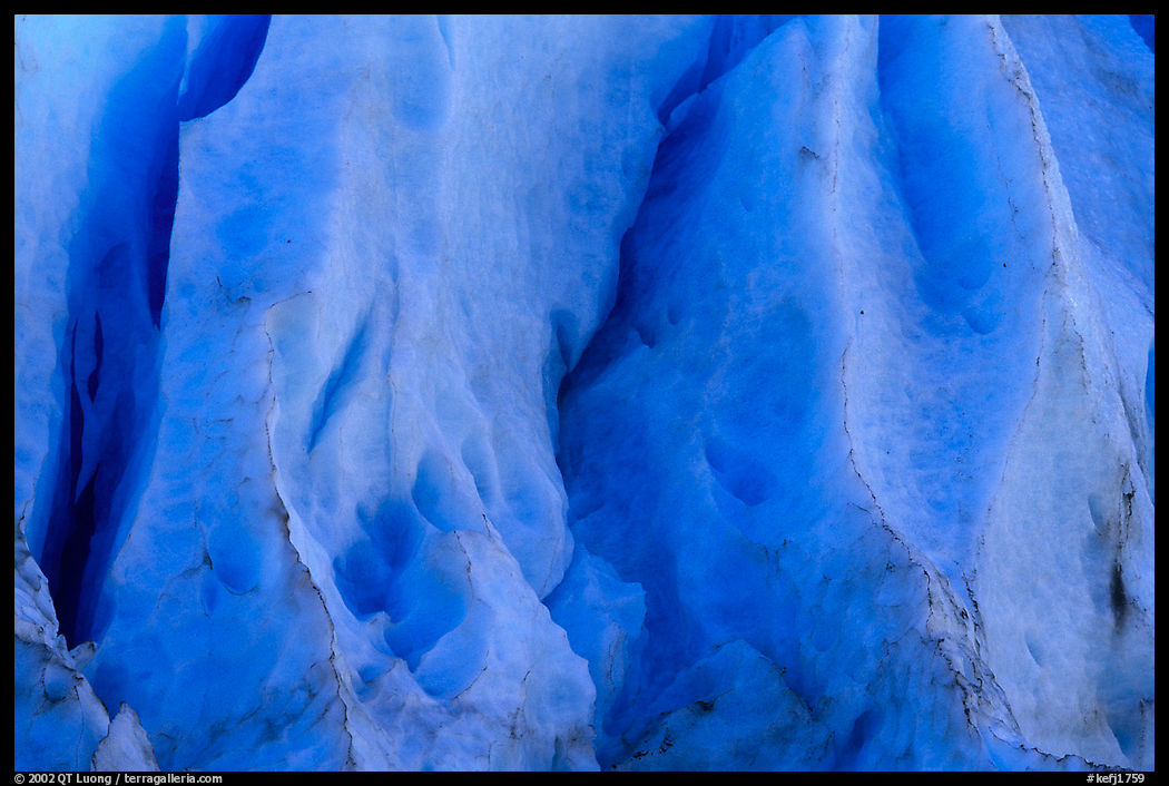 Glacial ice detail, Exit Glacier terminus. Kenai Fjords  National Park, Alaska, USA.