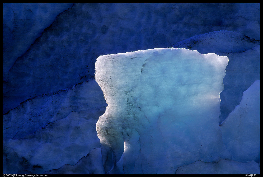 Blue ice detail at the terminus of Exit Glacier. Kenai Fjords  National Park, Alaska, USA.