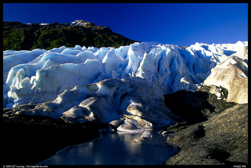 Frozen glacial pond and front of Exit Glacier, early morning. Kenai Fjords  National Park, Alaska, USA.