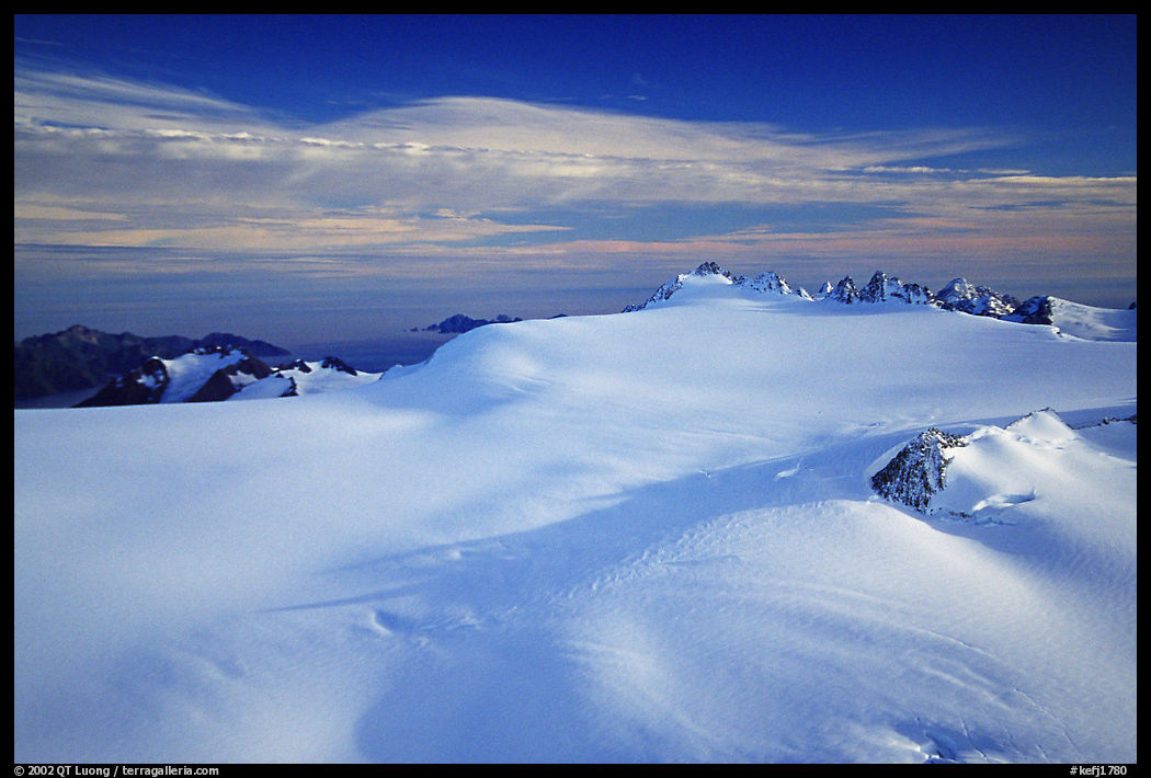 Aerial view of vast glacial system and fjords. Kenai Fjords  National Park, Alaska, USA.