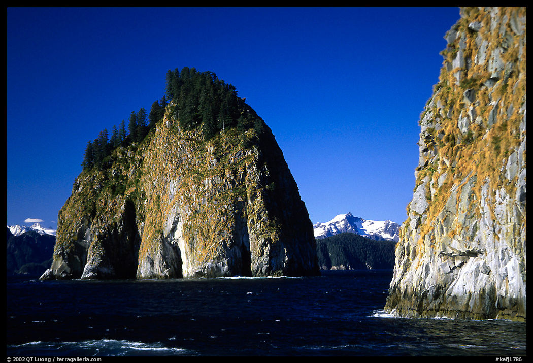 Islands in Aialik Bay. Kenai Fjords  National Park, Alaska, USA.