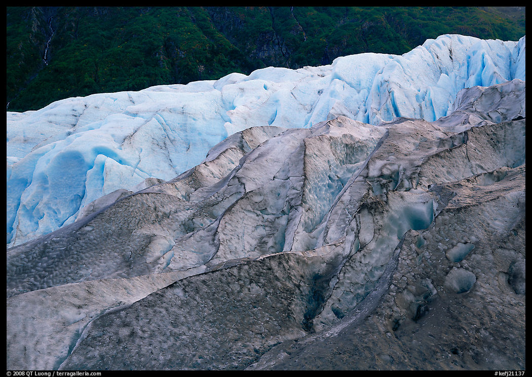 Grey ice, blue ice, Exit Glacier and forest. Kenai Fjords  National Park, Alaska, USA.