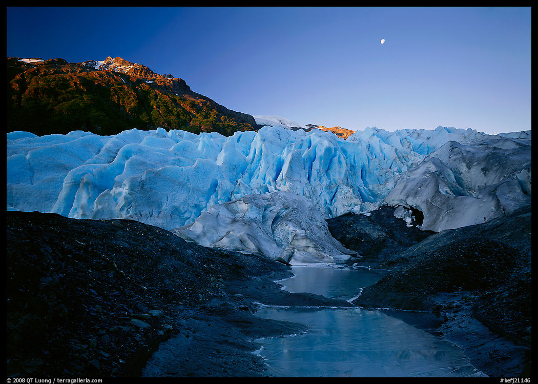 Front of Exit Glacier, sunrise and moon. Kenai Fjords  National Park, Alaska, USA.