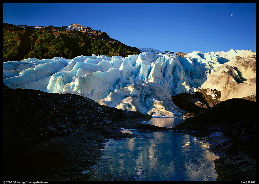 Frozen glacial pond and front of Exit Glacier, early morning. Kenai Fjords  National Park, Alaska, USA.