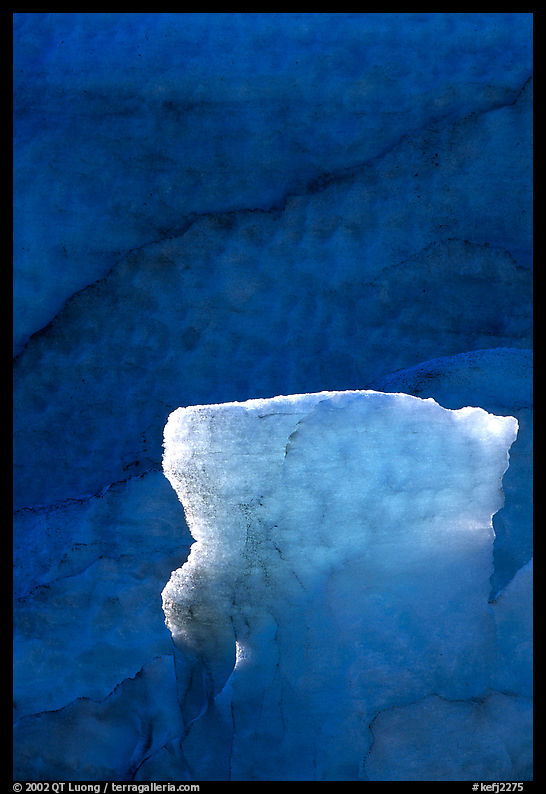 Glacial ice detail at the terminus of Exit Glacier. Kenai Fjords  National Park, Alaska, USA.