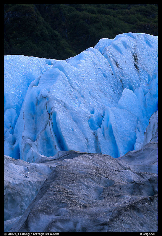 Exit Glacier and forest. Kenai Fjords  National Park, Alaska, USA.