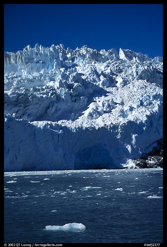 Front of Aialik Glacier, Aialik Bay. Kenai Fjords  National Park, Alaska, USA.