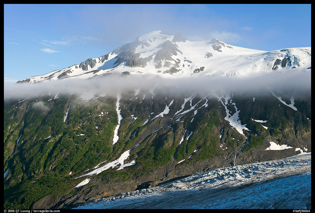 Exit Glacier, low cloud, and peak. Kenai Fjords  National Park, Alaska, USA.