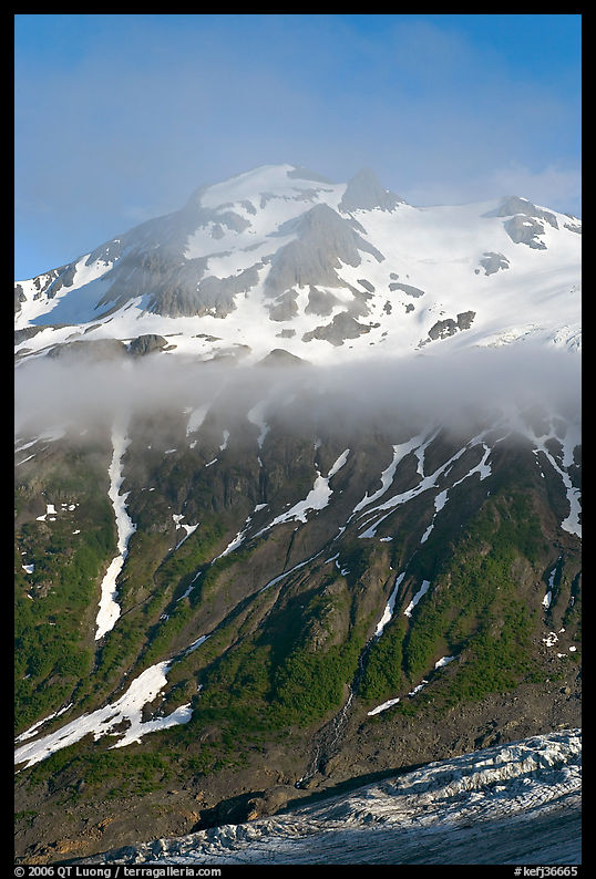 Glacier, and cloud hanging at mid-height of peak. Kenai Fjords  National Park