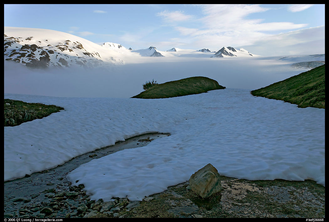 Melting neve in early summer and Harding ice field. Kenai Fjords  National Park, Alaska, USA.
