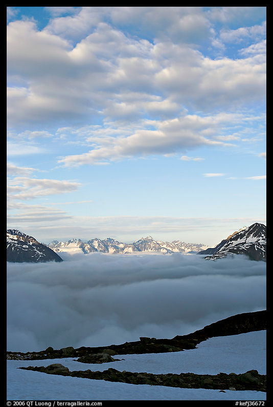 Sea of clouds and craggy peaks. Kenai Fjords  National Park