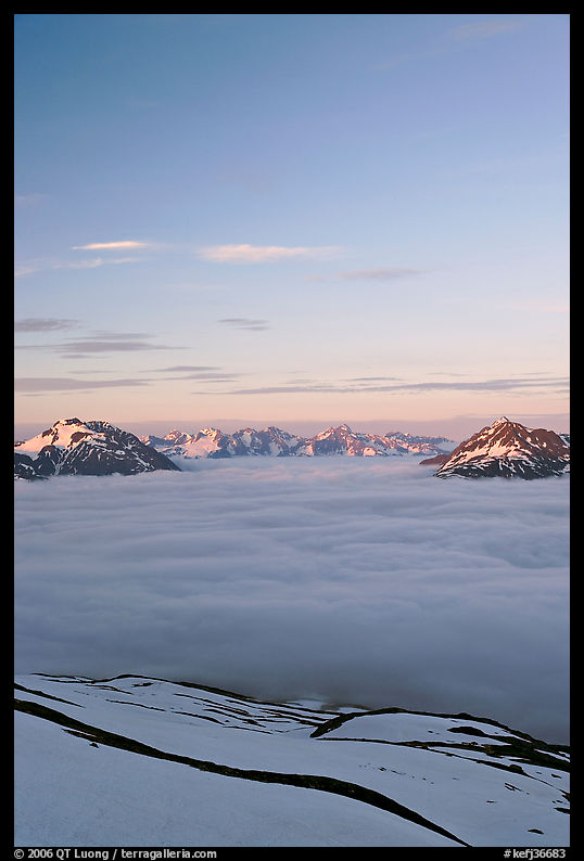 View from the Harding Icefield trail at sunset. Kenai Fjords  National Park, Alaska, USA.