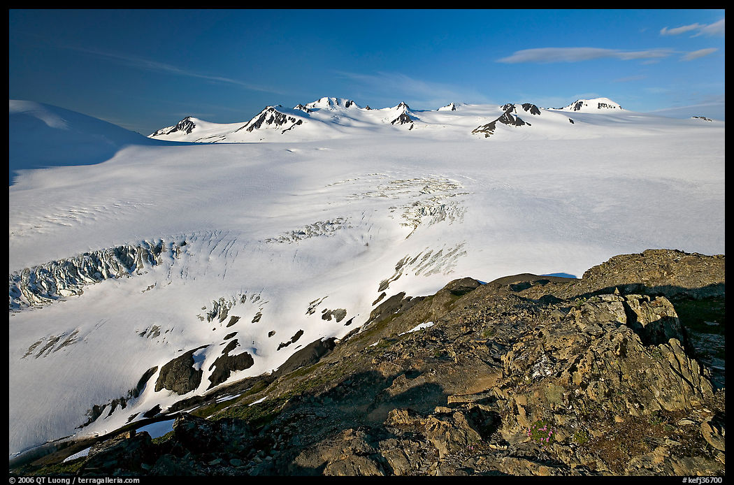 Lichen-covered rocks and Harding ice field. Kenai Fjords  National Park, Alaska, USA.