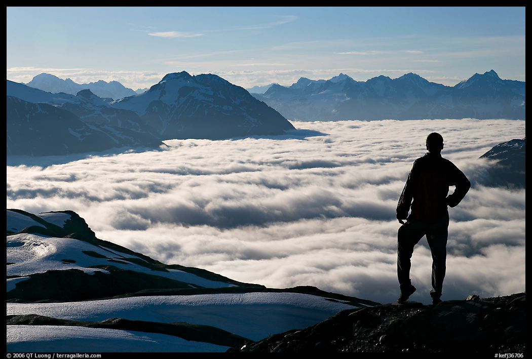 Hiker contemplaing a sea of clouds. Kenai Fjords  National Park, Alaska, USA.