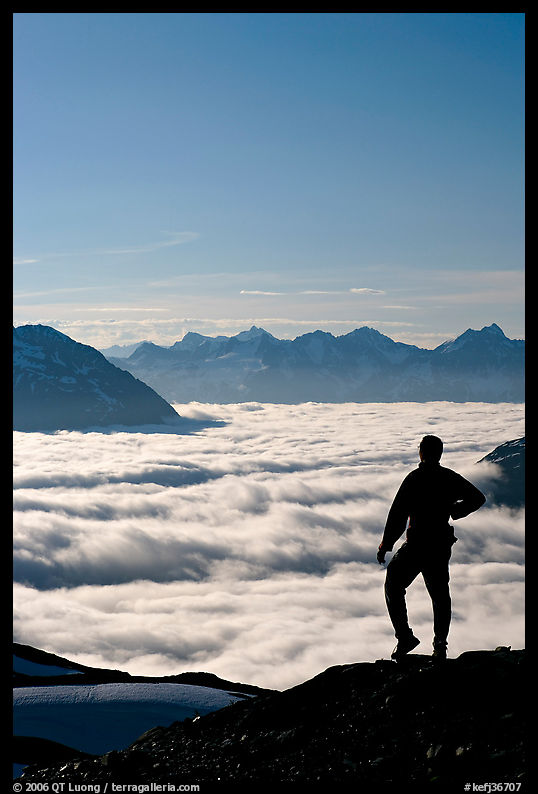Man above a sea of clouds. Kenai Fjords  National Park, Alaska, USA.