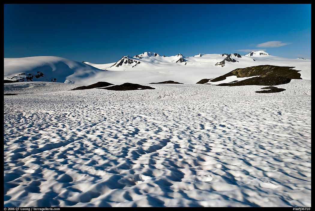 Snow cups and Harding icefield. Kenai Fjords  National Park, Alaska, USA.