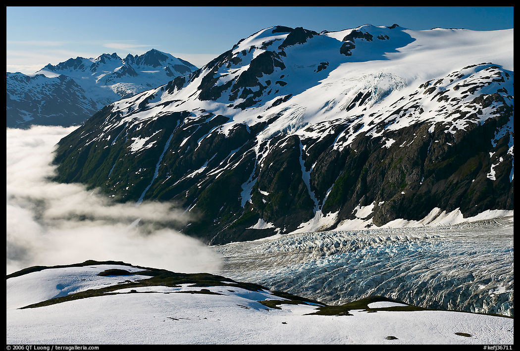 Peaks, glacier, and sea of clouds, morning. Kenai Fjords  National Park, Alaska, USA.
