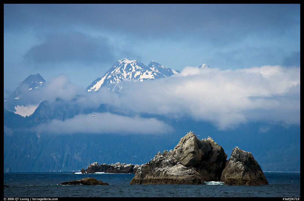 Rocky islets and cloud-shrouded peaks, Aialik Bay. Kenai Fjords  National Park, Alaska, USA.