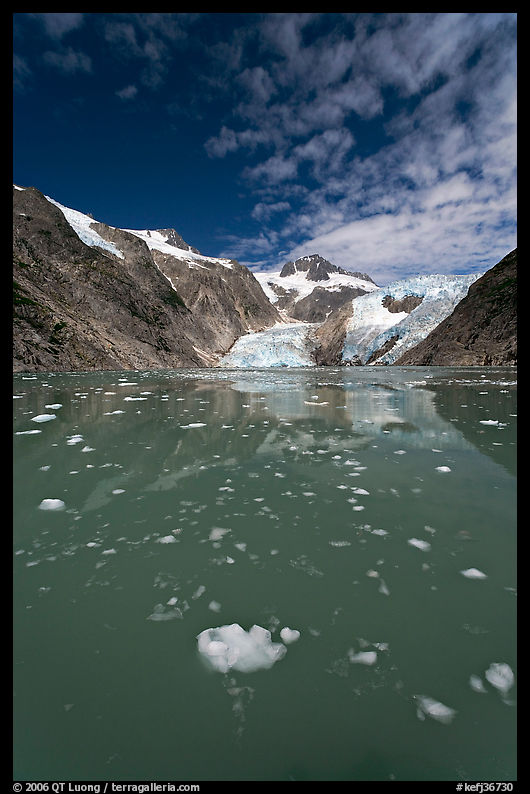Icebergs in Northwestern Lagoon, Northwestern Fjord. Kenai Fjords  National Park, Alaska, USA.