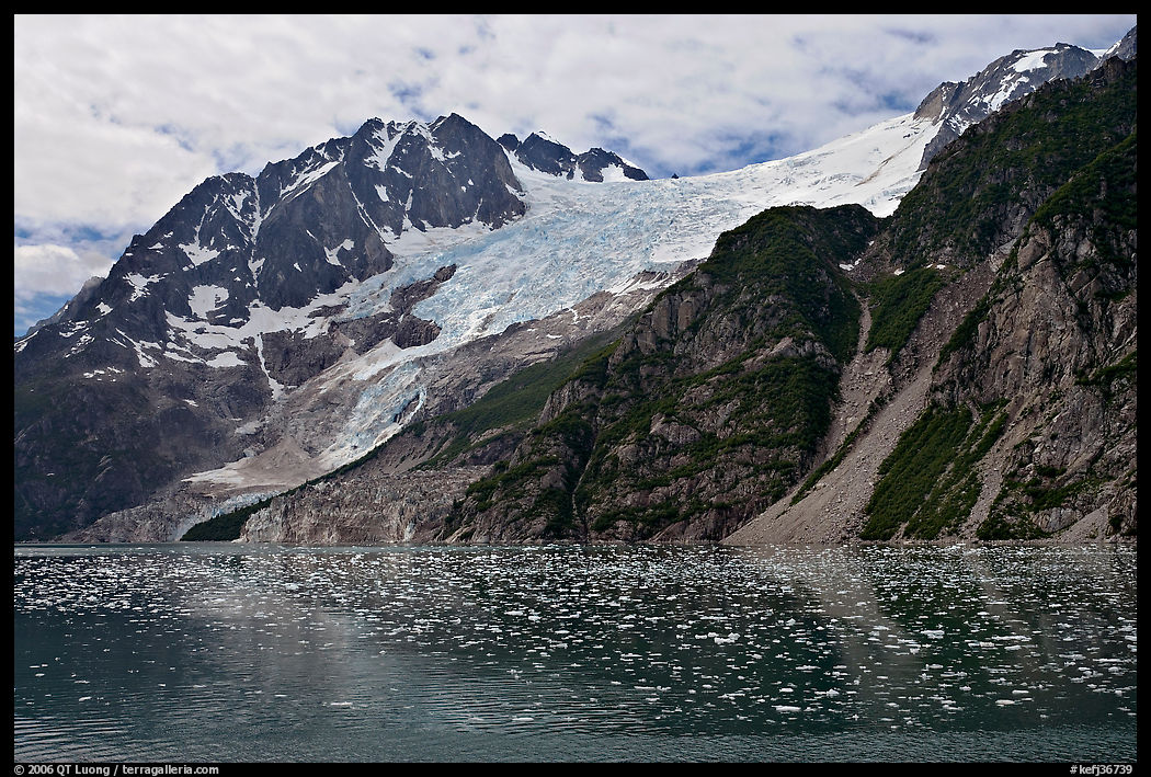 South side of fjord and icebergs, Northwestern Fjord. Kenai Fjords  National Park, Alaska, USA.