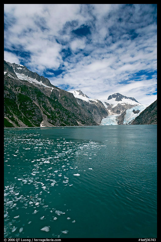 Northwestern Fjord. Kenai Fjords  National Park, Alaska, USA.