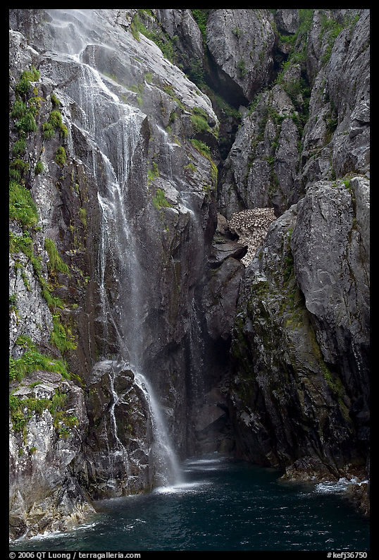 Waterfall streaming into Cataract Cove, Northwestern Fjord. Kenai Fjords  National Park, Alaska, USA.