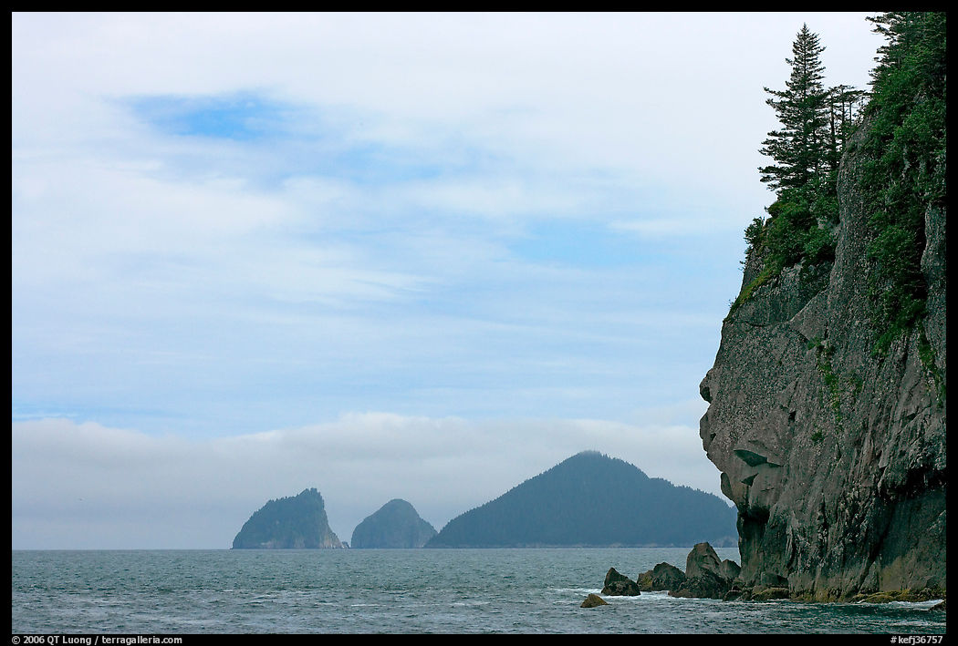 Chiswell Islands. Kenai Fjords  National Park, Alaska, USA.
