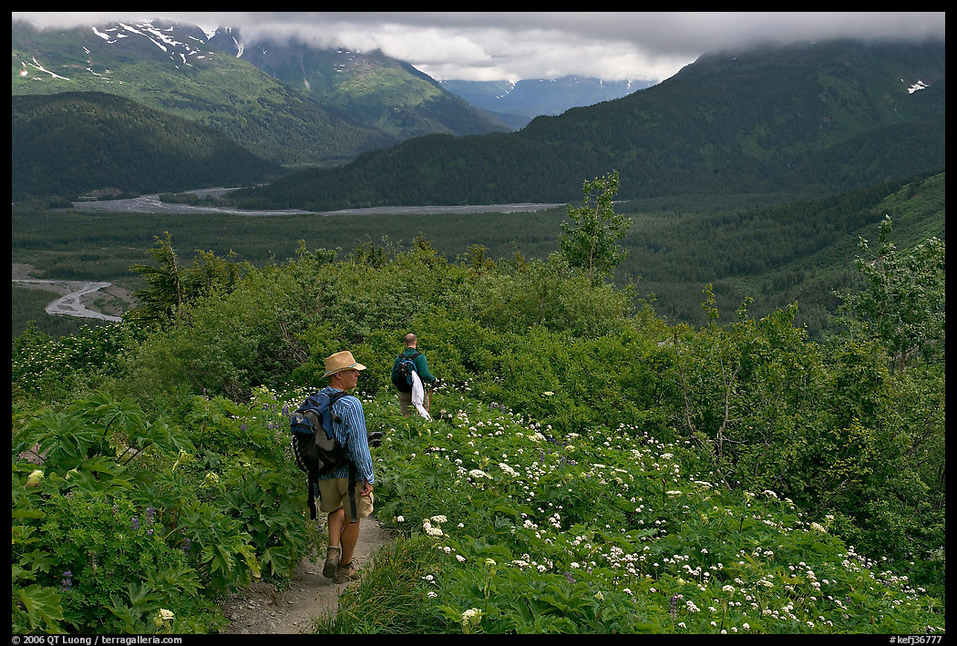 Hikers on Harding Icefield trail. Kenai Fjords  National Park, Alaska, USA.