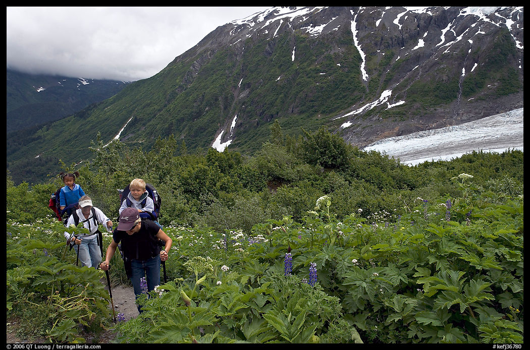 Women with child carrier backpacks on Harding Icefield trail. Kenai Fjords  National Park, Alaska, USA.