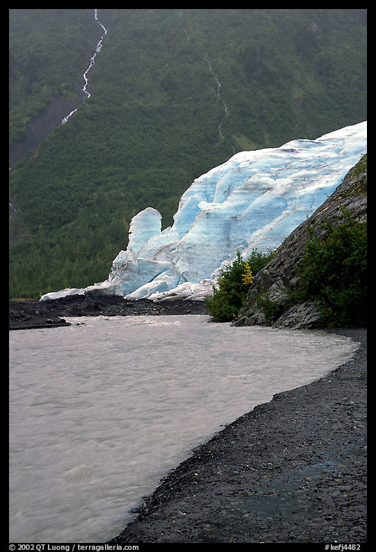 Exit Glacier, glacial outwash plain, and glacial stream. Kenai Fjords  National Park, Alaska, USA.