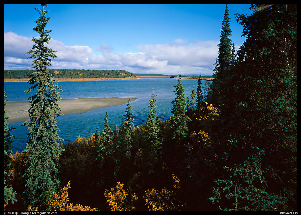 Bend of the Kobuk River, mid-morning. Kobuk Valley National Park, Alaska, USA.