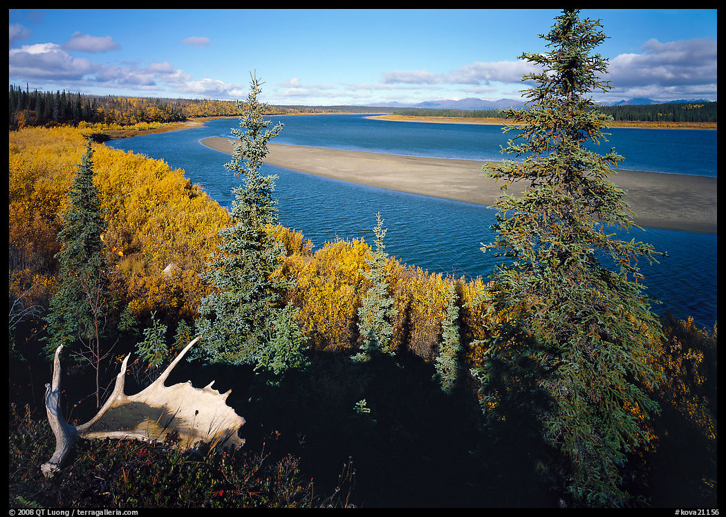 Antlers and bend of the Kobuk River, mid-morning. Kobuk Valley National Park, Alaska, USA.